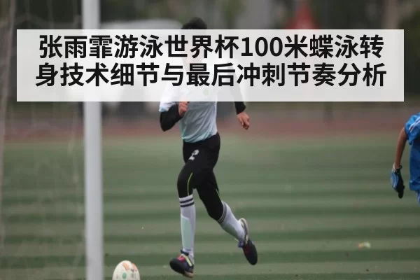张雨霏游泳世界杯100米蝶泳转身技术细节与最后冲刺节奏分析